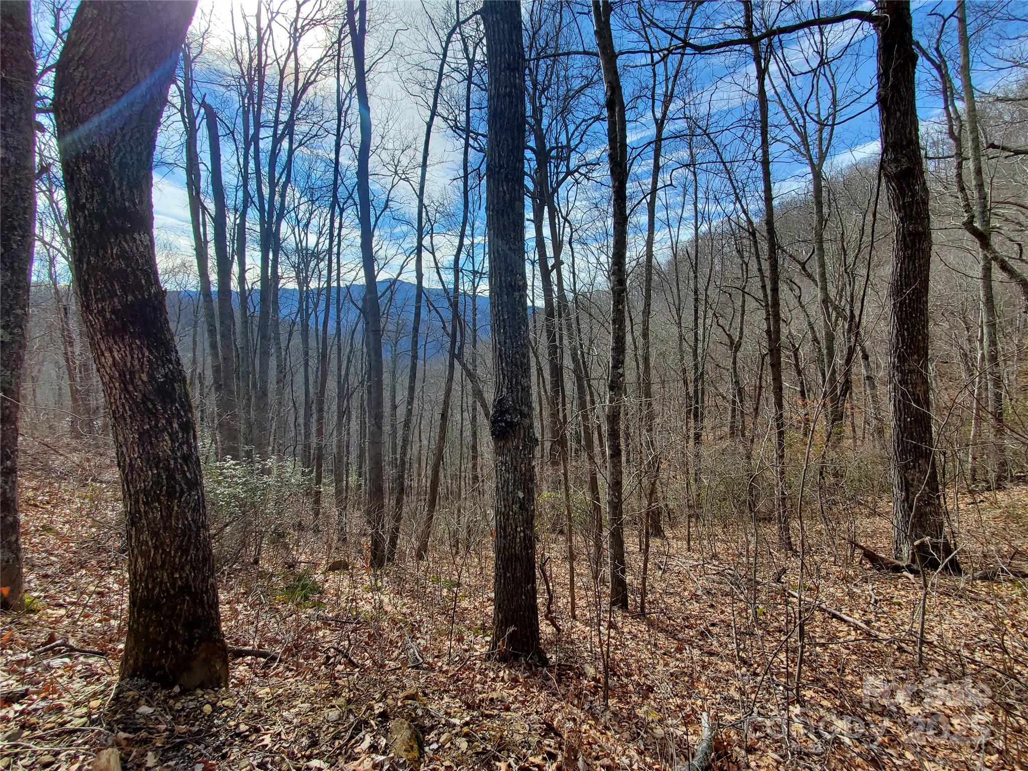 0 Buffalo Ridge Canton, NC 28716 - Photo 14 of 42 a view of a backyard with trees