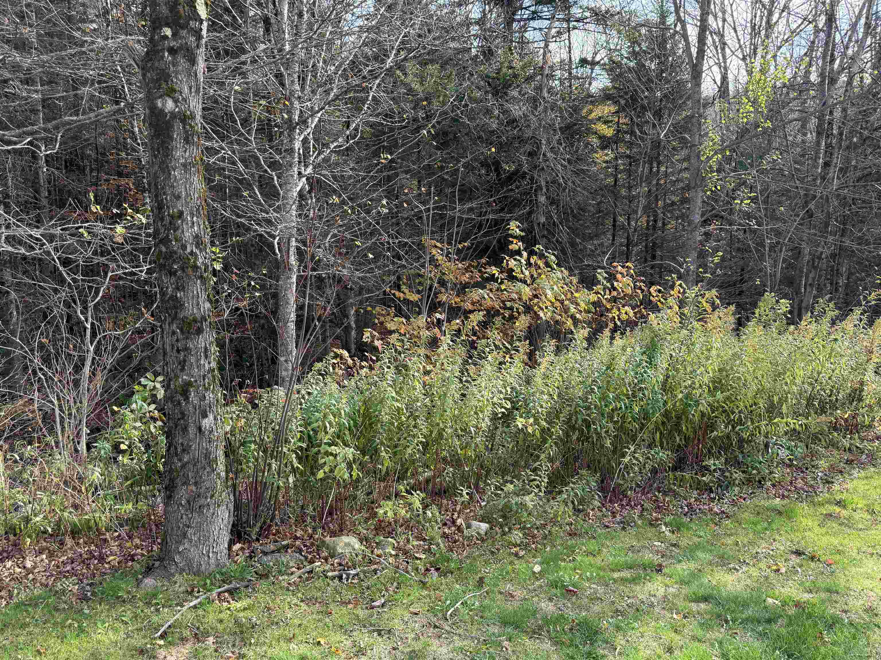 6852 Us Route 4, Unit C3 Rutland, VT 05701 - Photo 17 of 23