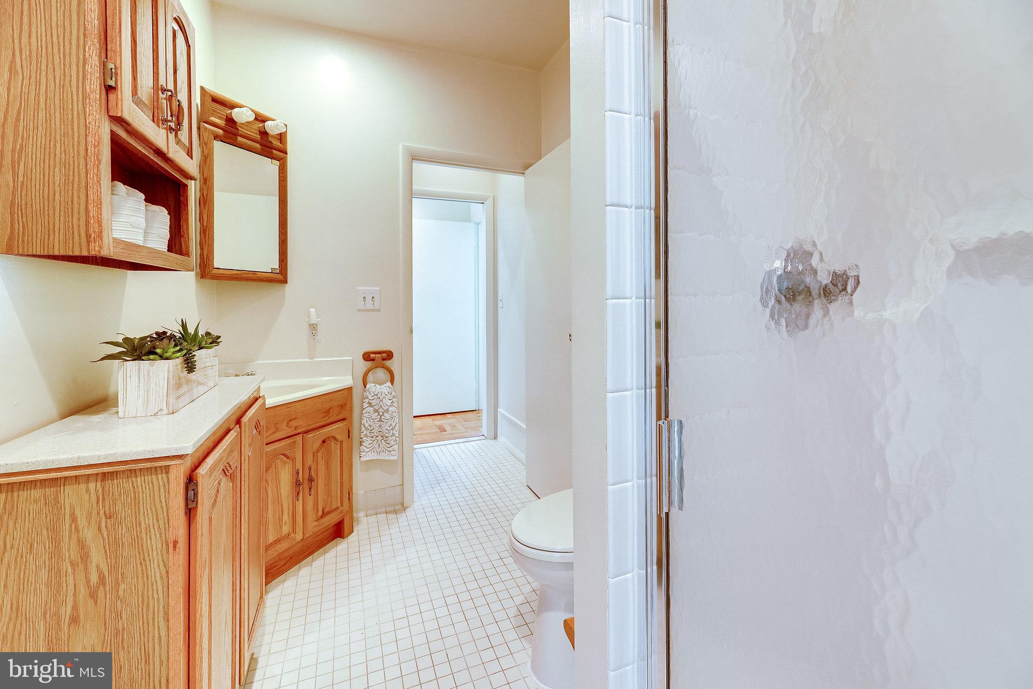 1952 Marthas Road Alexandria, VA 22307 - Photo 25 of 32 Stall shower and laundry closet