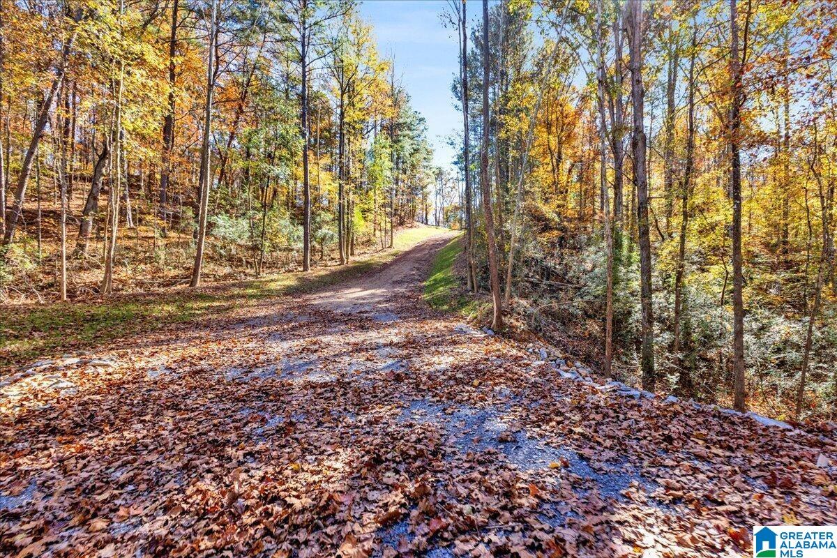 0 Hammock Road Trussville, AL 35173 - Photo 7 of 31