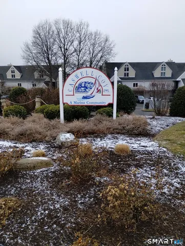 a view of a park with plants