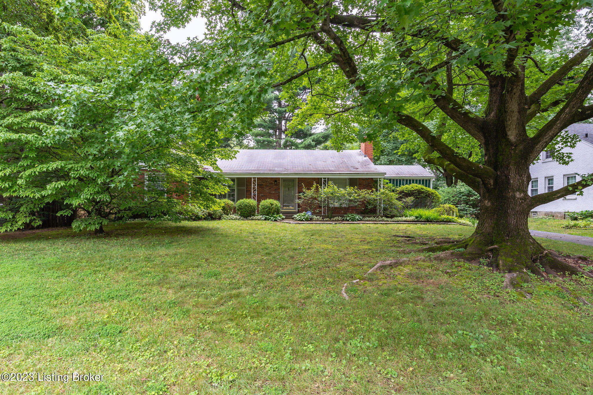 219 Woodcleft Road Louisville, KY 40222 - Photo 29 of 38 Woodcleft Rd 219_July 19, 2023_Seitz_FCP