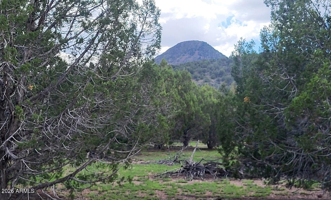 111 North Ranch Road, Unit 111 Williams, AZ 86046 - Photo 3 of 20 e1248bde-6bbd-4902-b55d-2c40439713ef