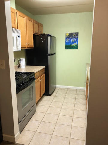 114 East Bailey Road, Unit D Naperville, IL 60565 - Photo 6 of 15