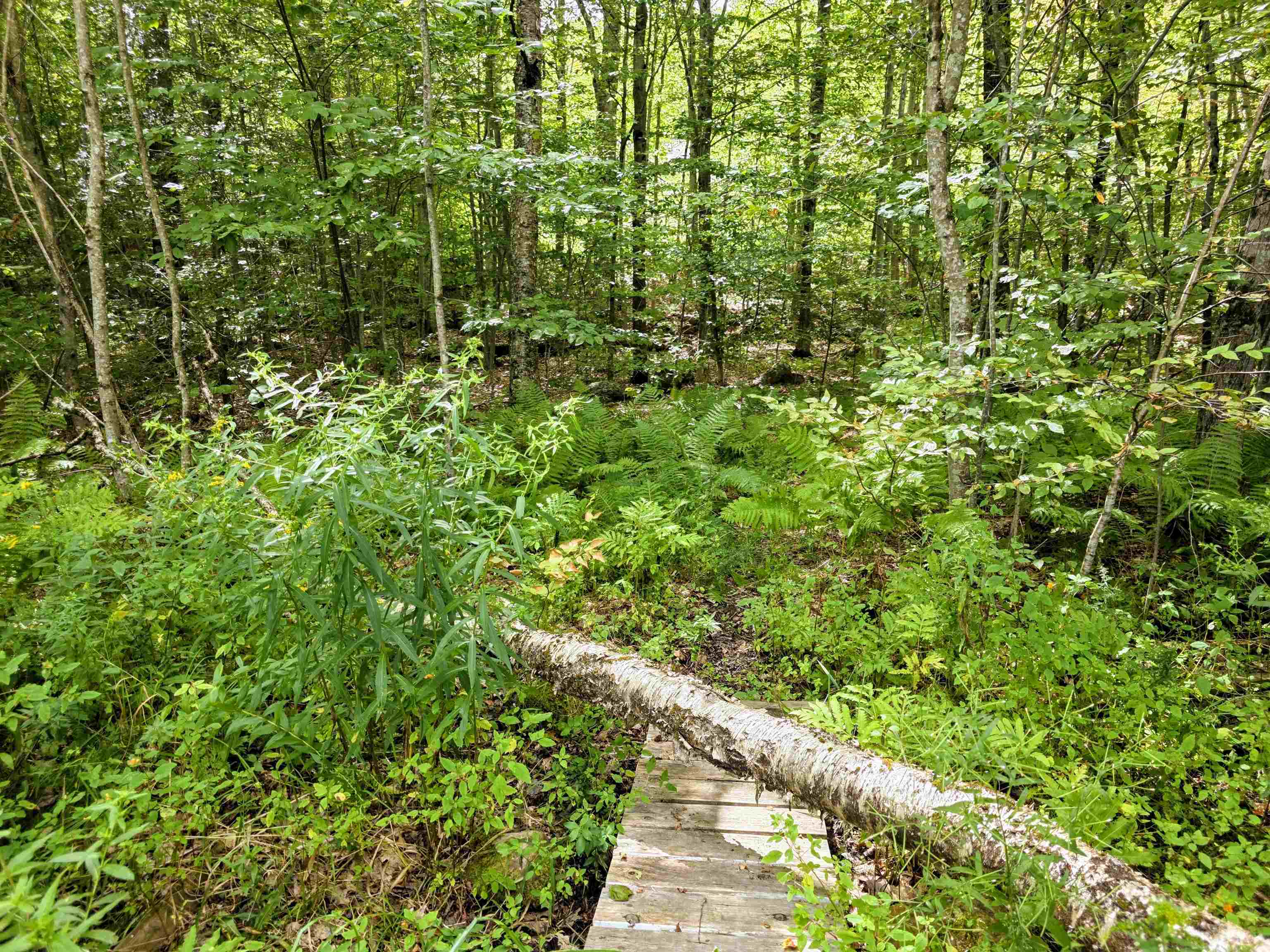 45 Henderson Road Nelson, NH 03457 - Photo 24 of 50