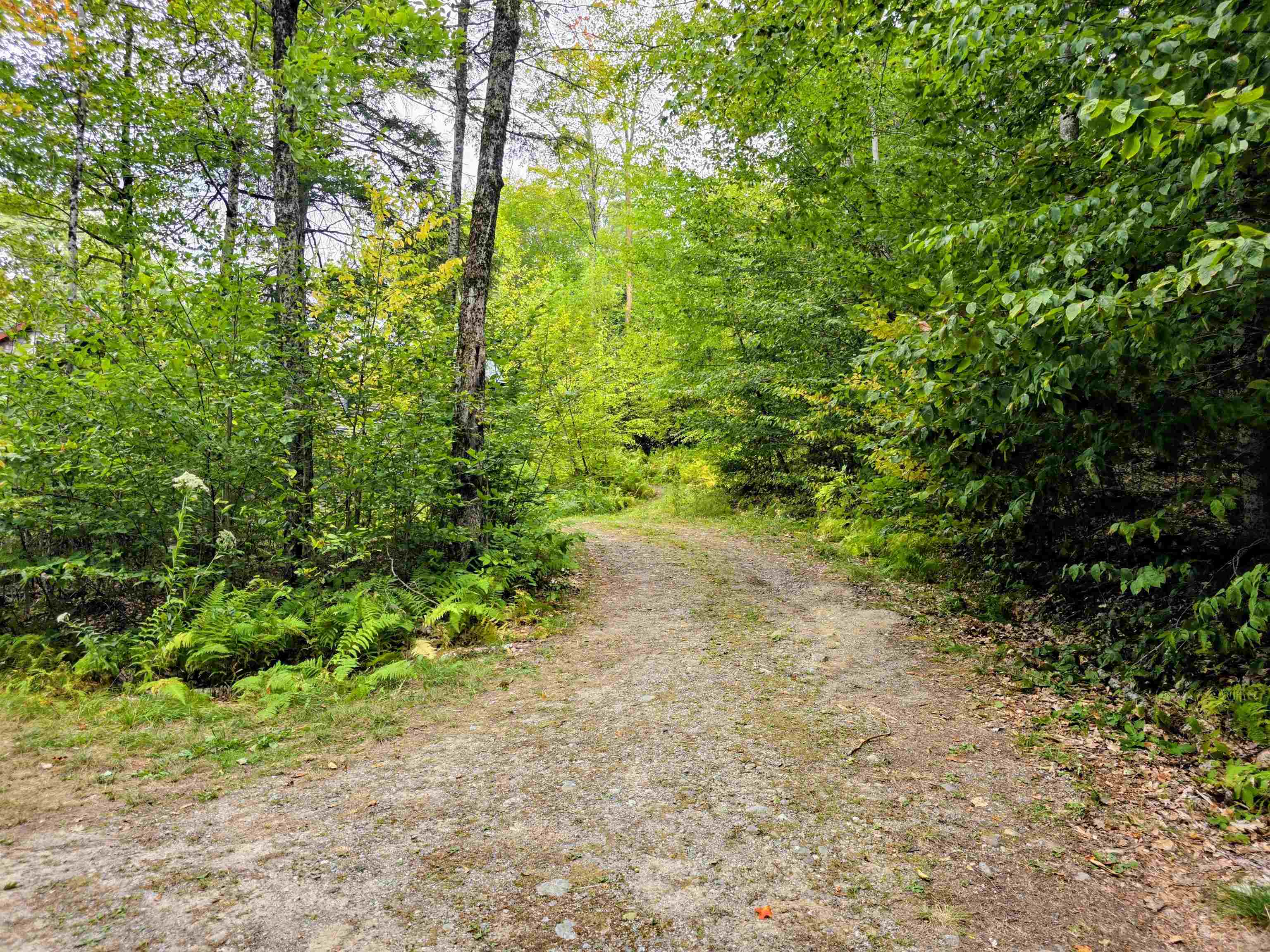 45 Henderson Road Nelson, NH 03457 - Photo 32 of 50