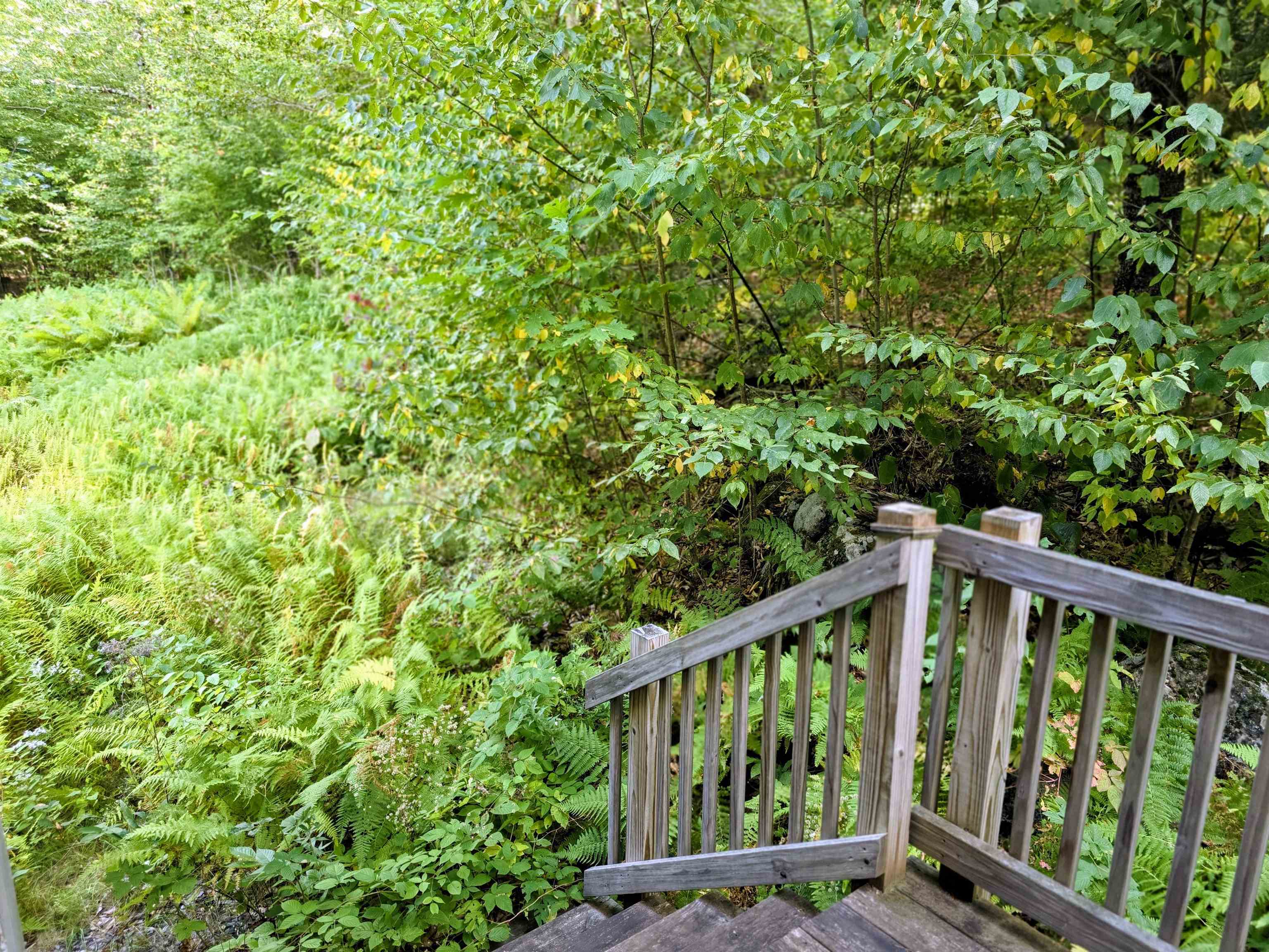 45 Henderson Road Nelson, NH 03457 - Photo 34 of 50