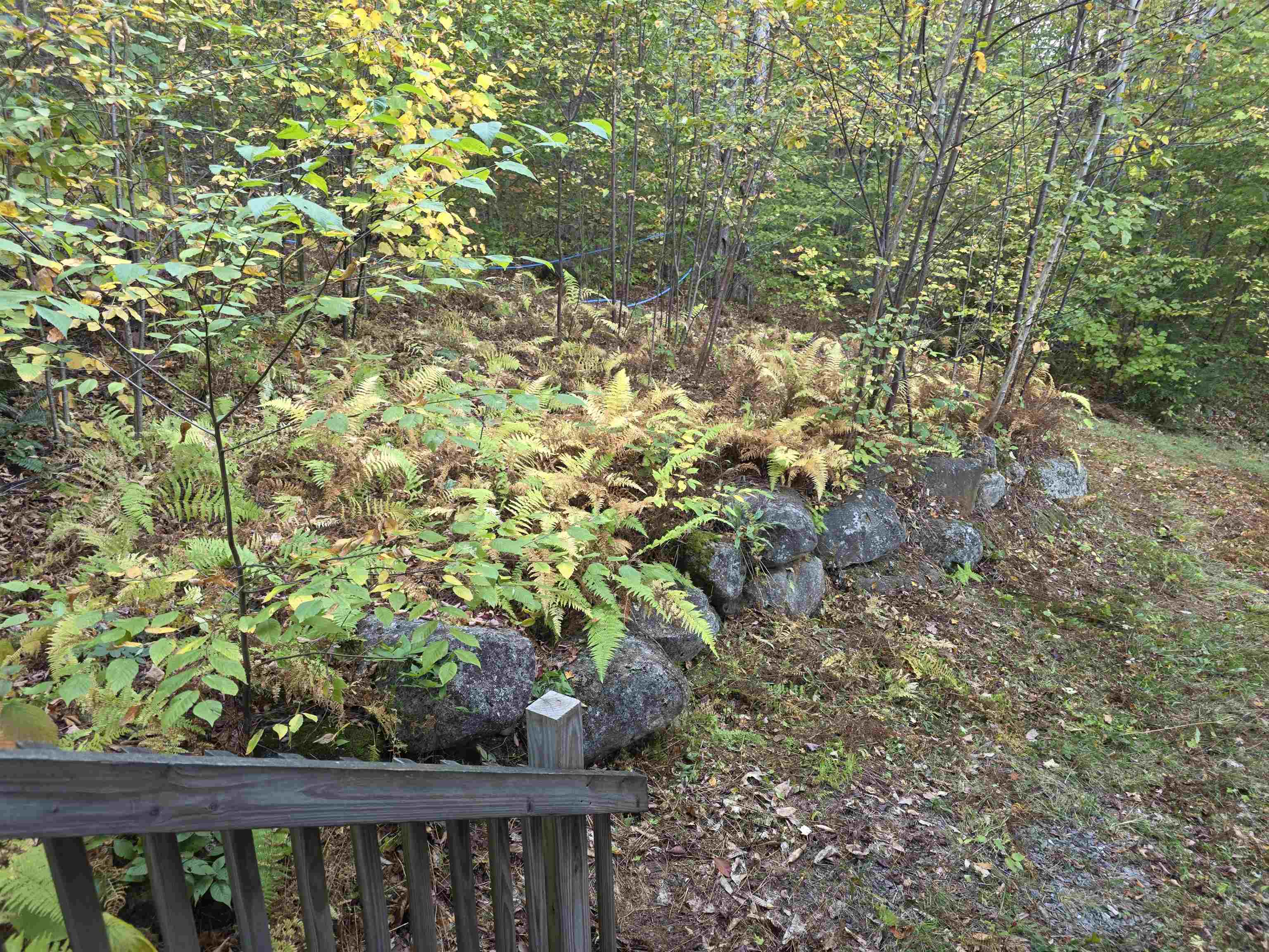 45 Henderson Road Nelson, NH 03457 - Photo 49 of 50