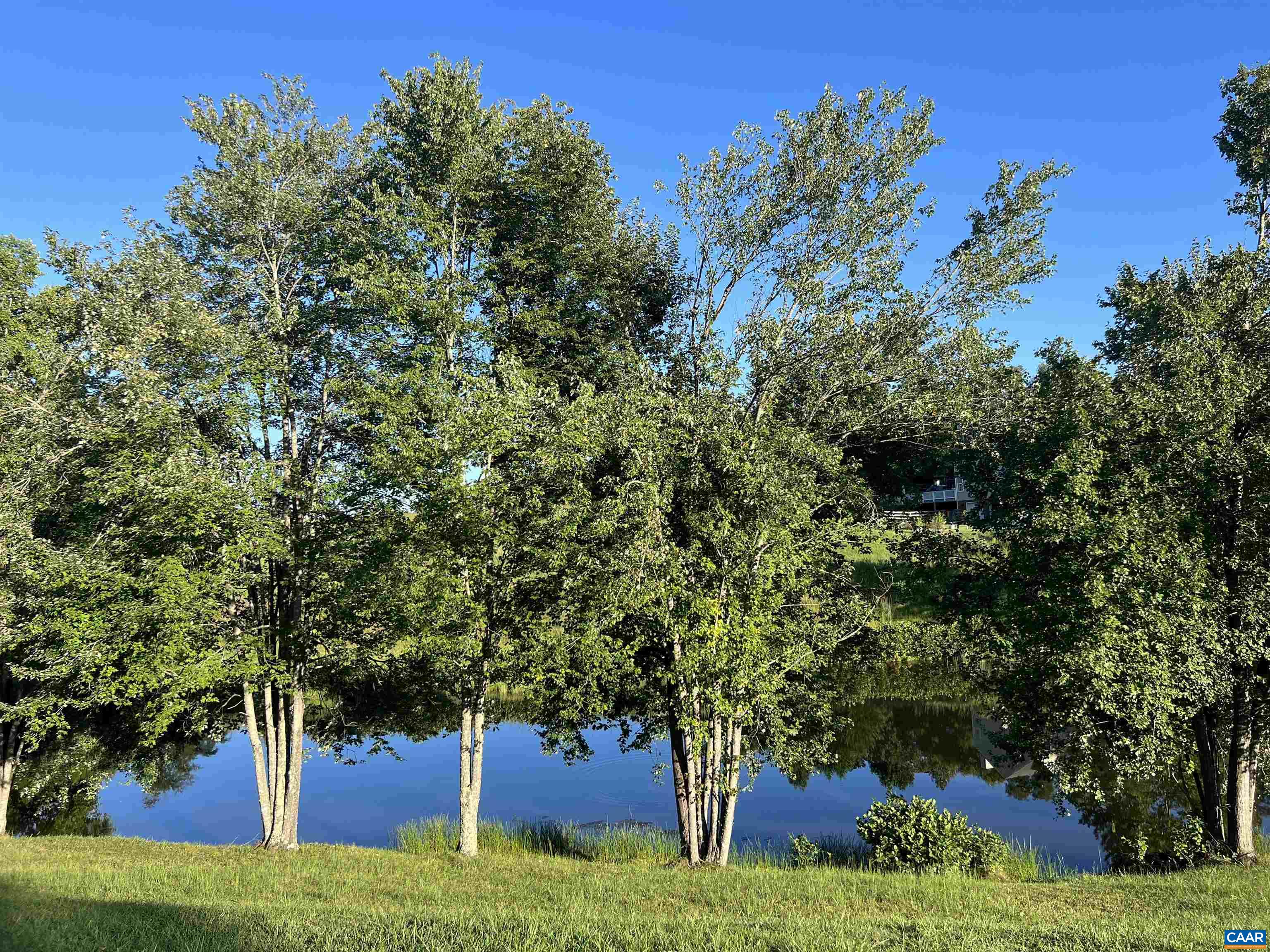 Tbd Beaverdam Road Keswick, VA 22947 - Photo 3 of 4 a view of yard with green space