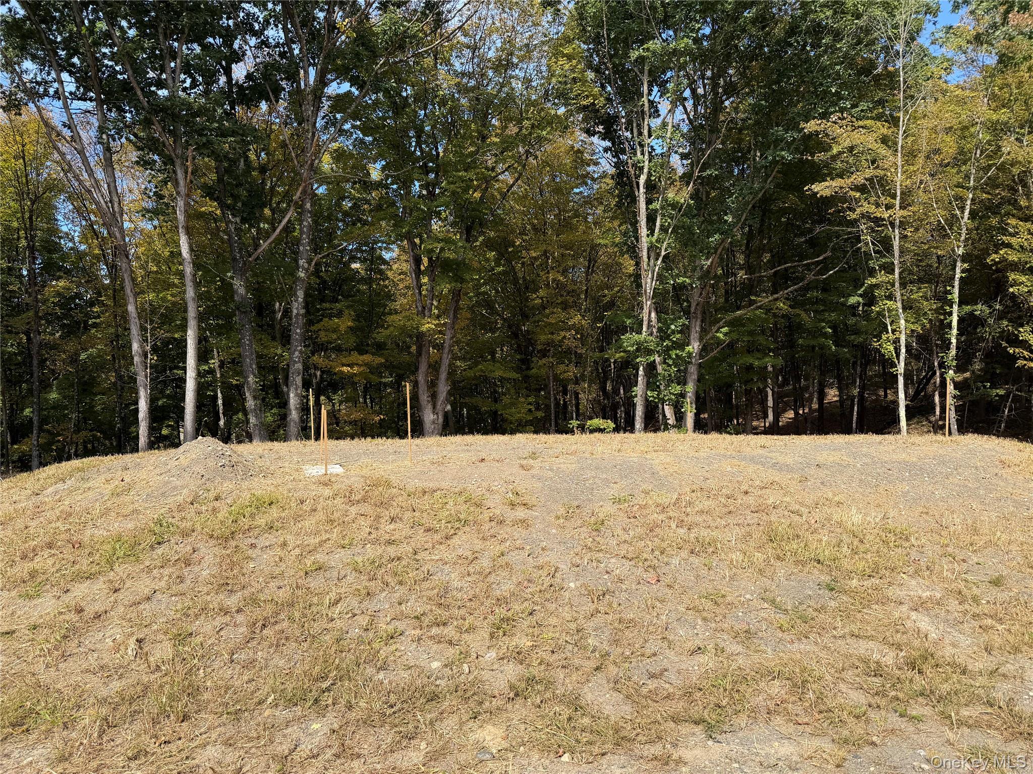 Lot 2 Church Road Red Hook, NY 12571 - Photo 7 of 16 Gallery Image 7
