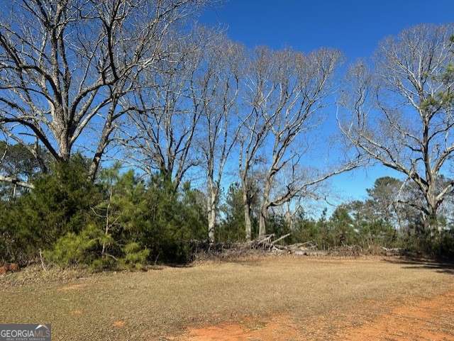 2351 Elder Road Bishop, GA 30621 - Photo 2 of 3 a view of a yard covered with snow in front of house