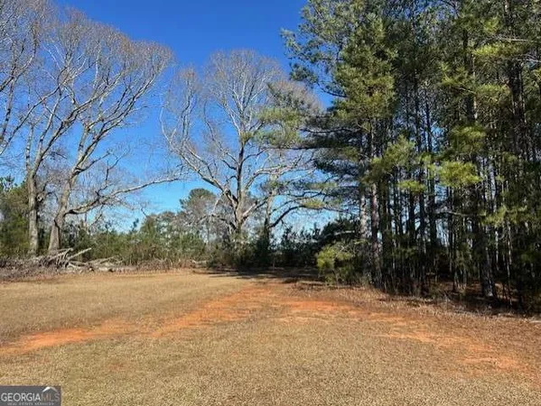 a view of outdoor space and yard