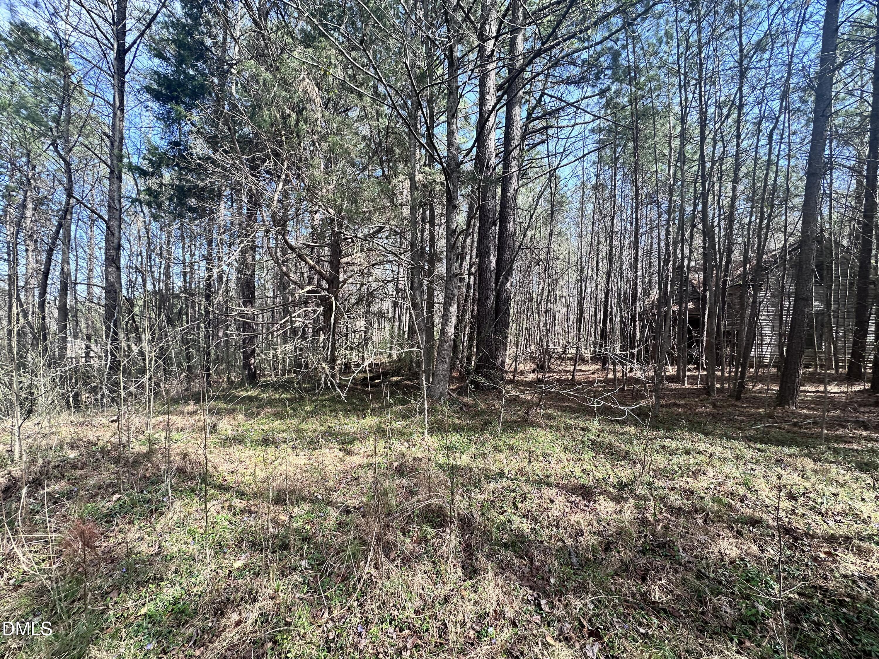 0 Pleasant Hill Church Road Siler City, NC 27344 - Photo 1 of 4 IMG_7990