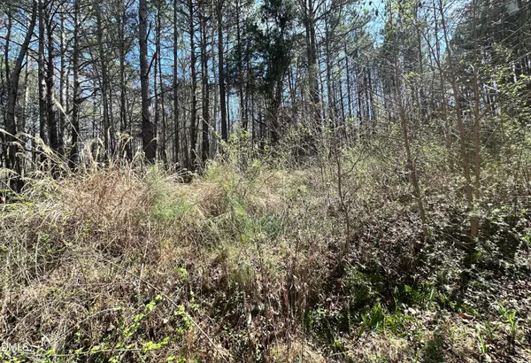 $139,900 | 0 Pleasant Hill Church Road, Siler City, NC 27344