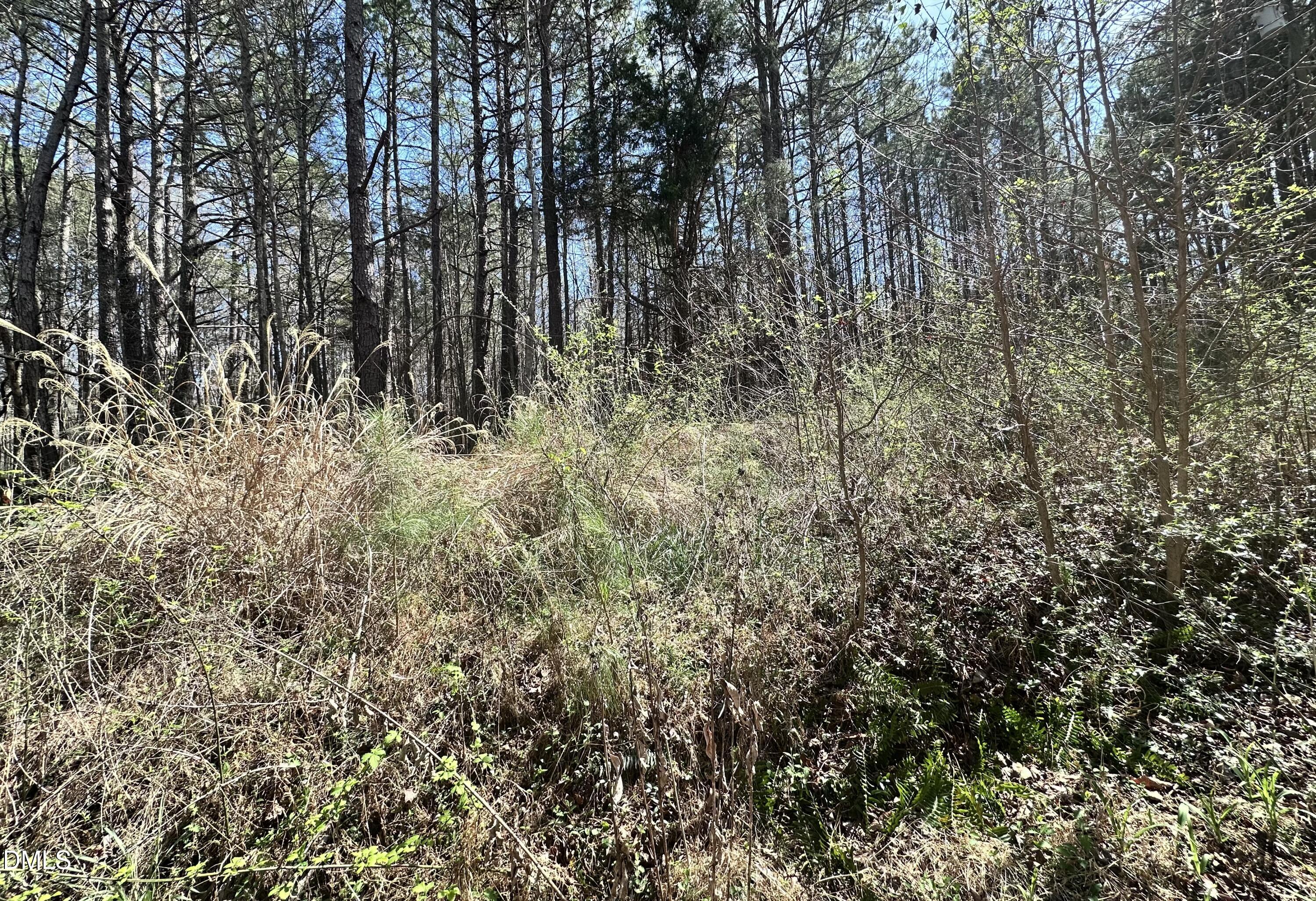 0 Pleasant Hill Church Road Siler City, NC 27344 - Photo 2 of 4 IMG_7974 (1)