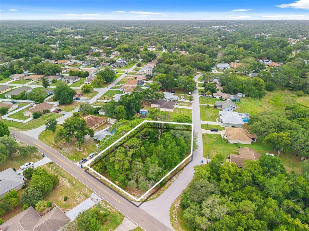 Horizon Dr Spring Hill Spring Hill, FL 34608 - Photo 5 of 12