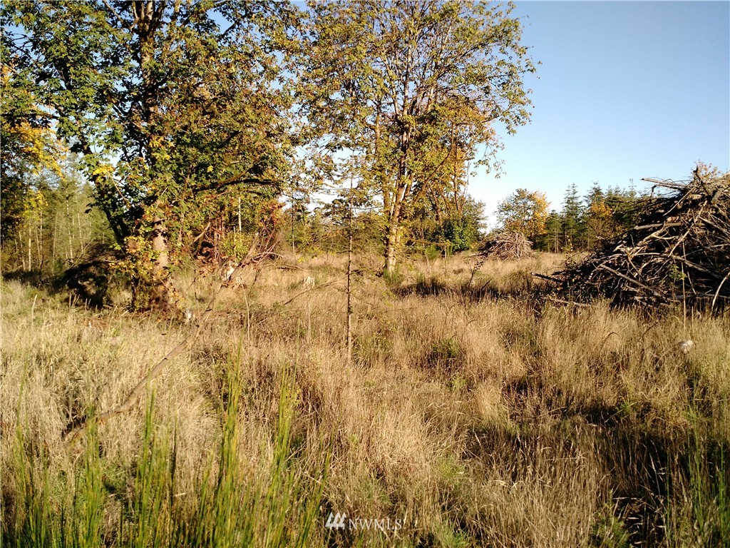 -off Hart Road Winlock, WA 98596 - Photo 2 of 5