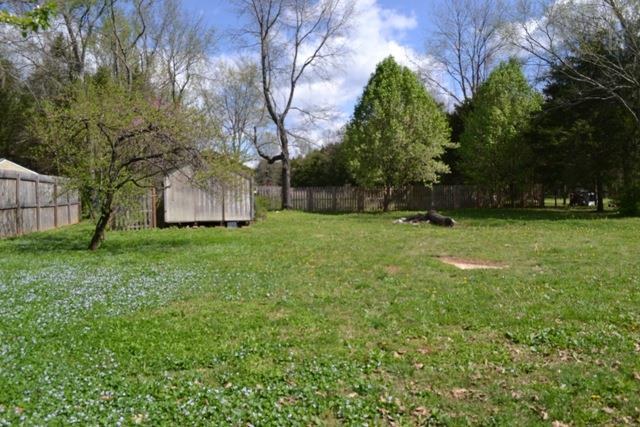 5000 Bass Road Murfreesboro, TN 37129 - Photo 10 of 10 back view of property