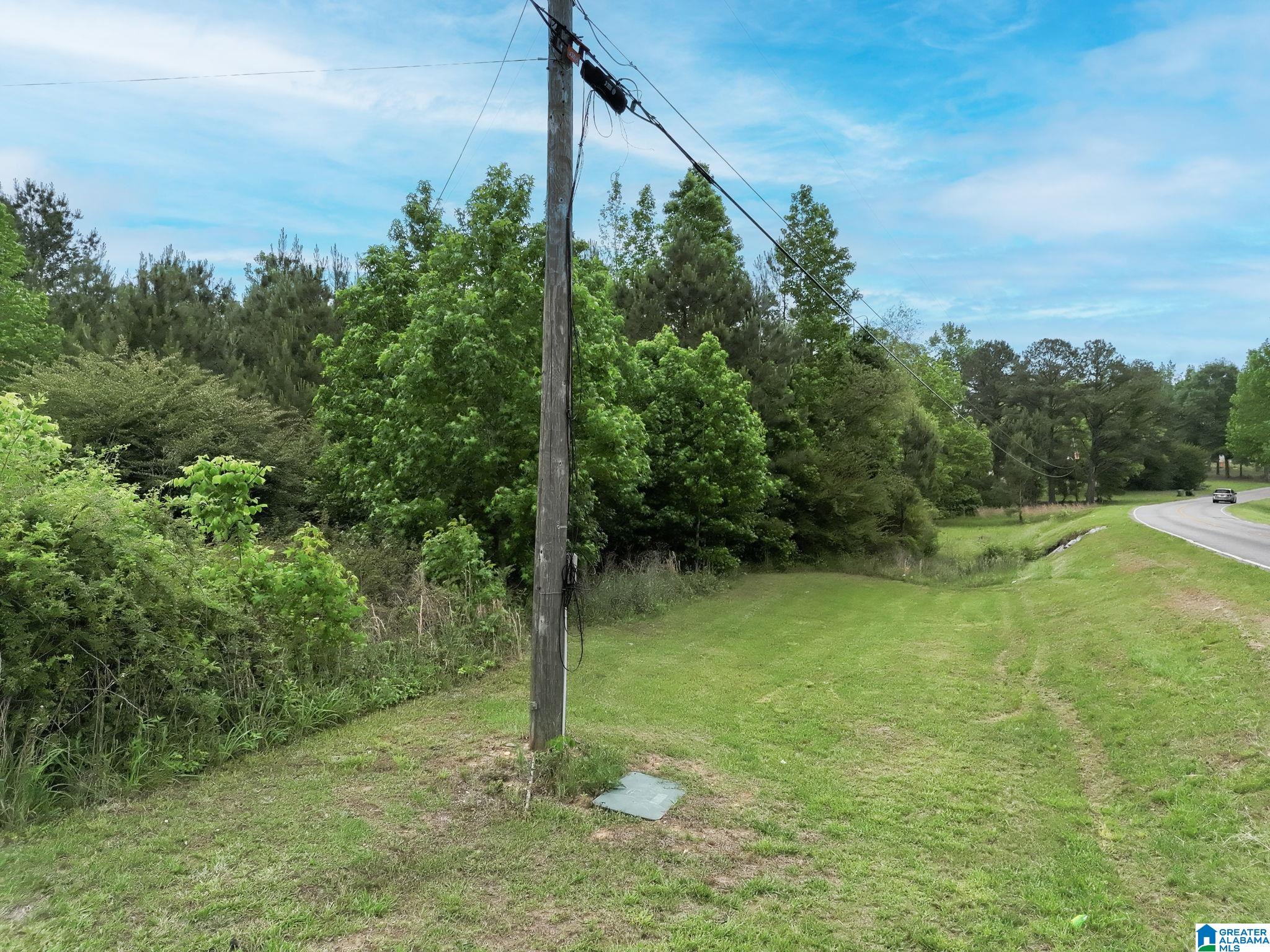 0 Temple Road, Unit 1 Clanton, AL 35045 - Photo 5 of 13