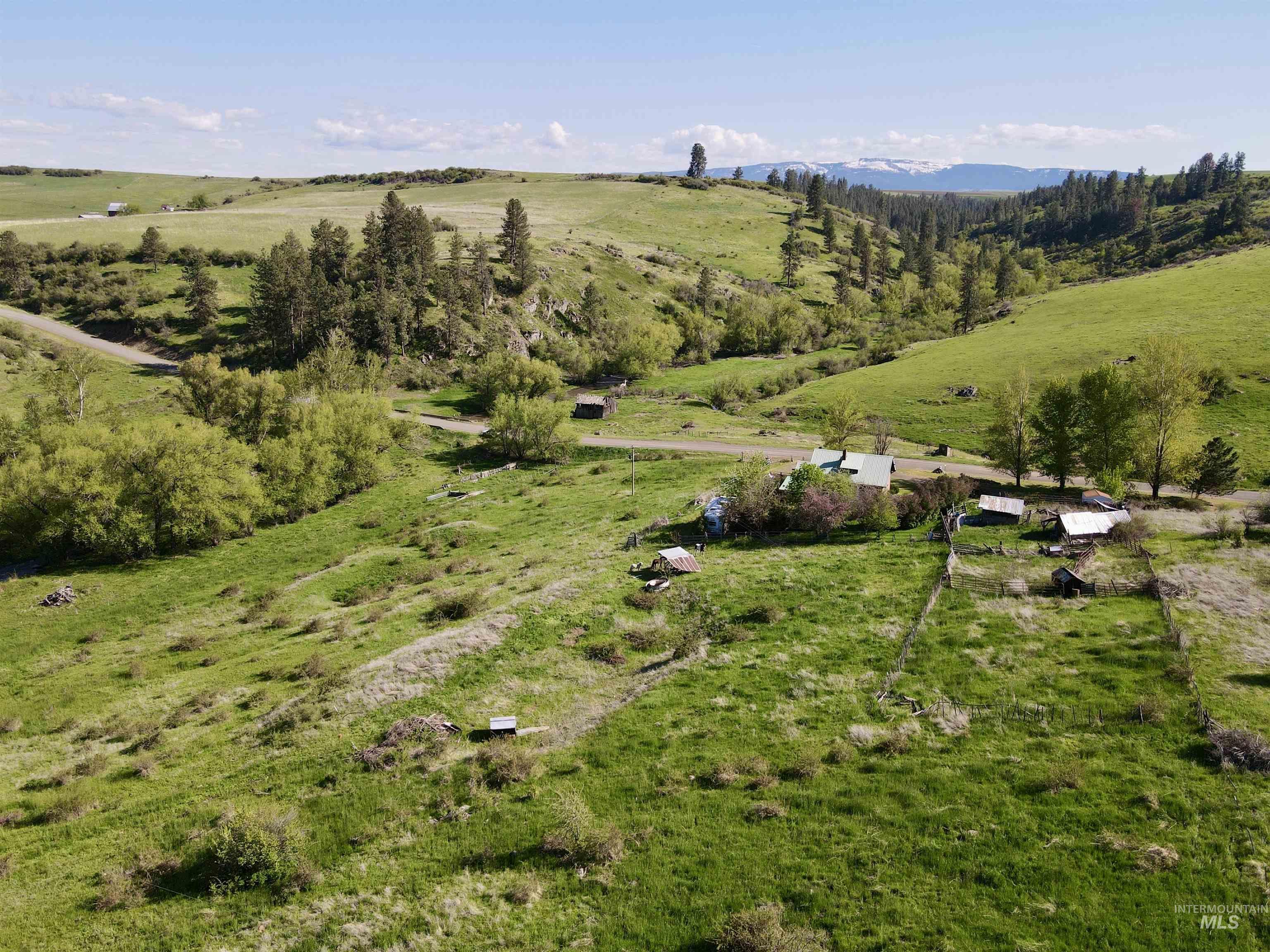 1349 Reservation Line Road Grangeville, ID 83530 - Photo 1 of 37 Gallery Image 1