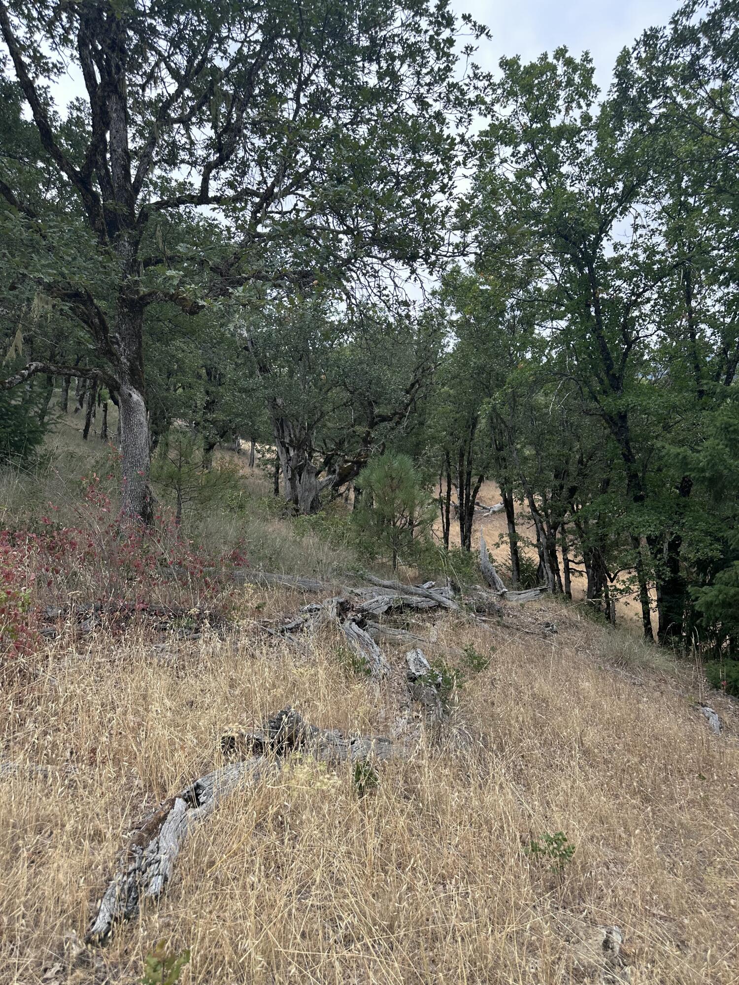 0 River Road Miranda, CA 95553 - Photo 20 of 31