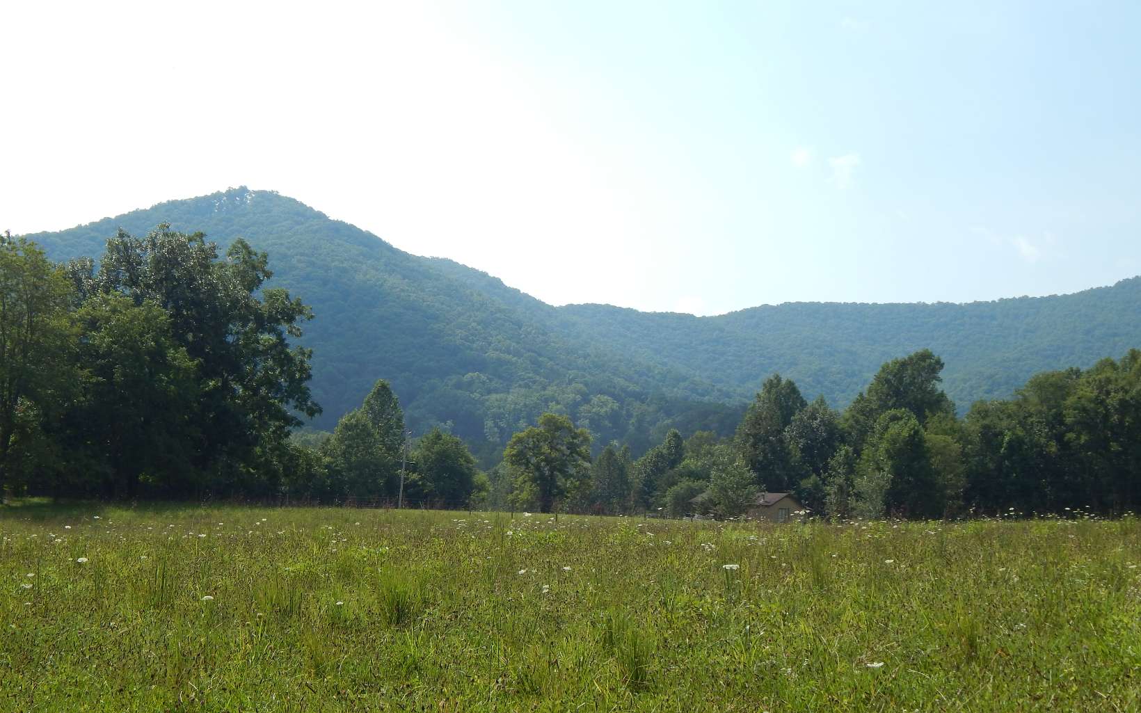 Additional View