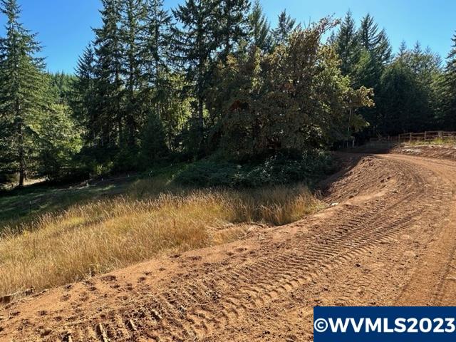526258 Southwest Pumpkinseed Road Willamina, OR 97396 - Photo 24 of 24