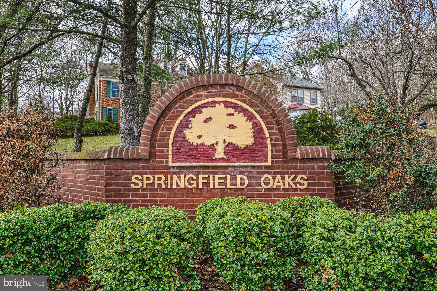 8557 Springfield Oaks Drive Springfield, VA 22153 - Photo 32 of 32 Great community!