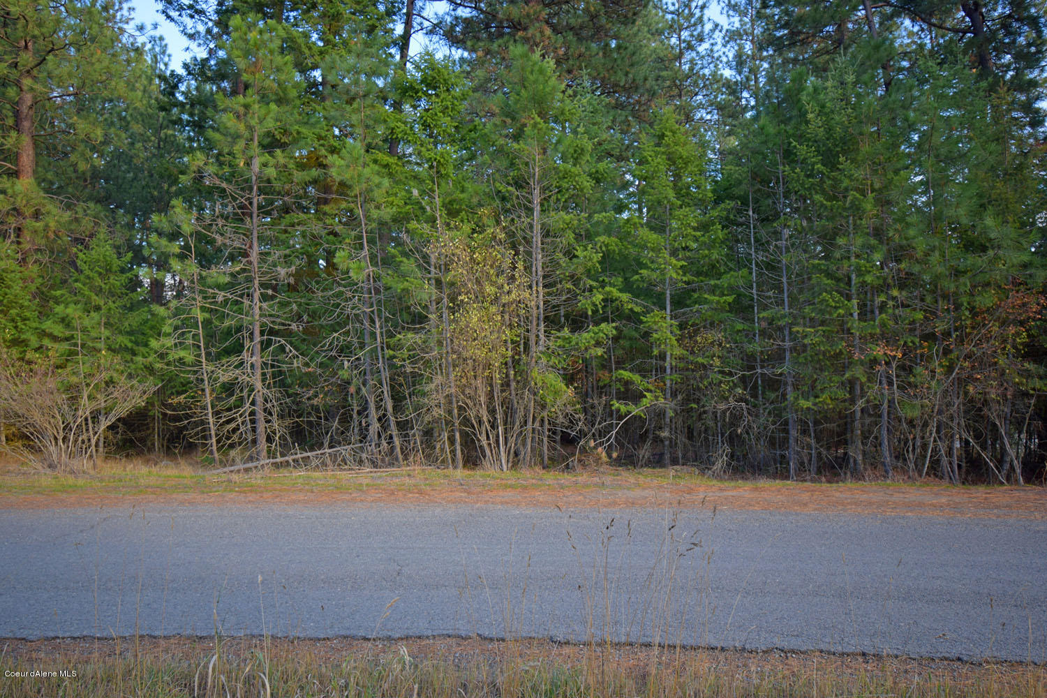 Nna Nna Fitzpatrick Road Bonners Ferry, ID 83805 - Photo 1 of 1 Main