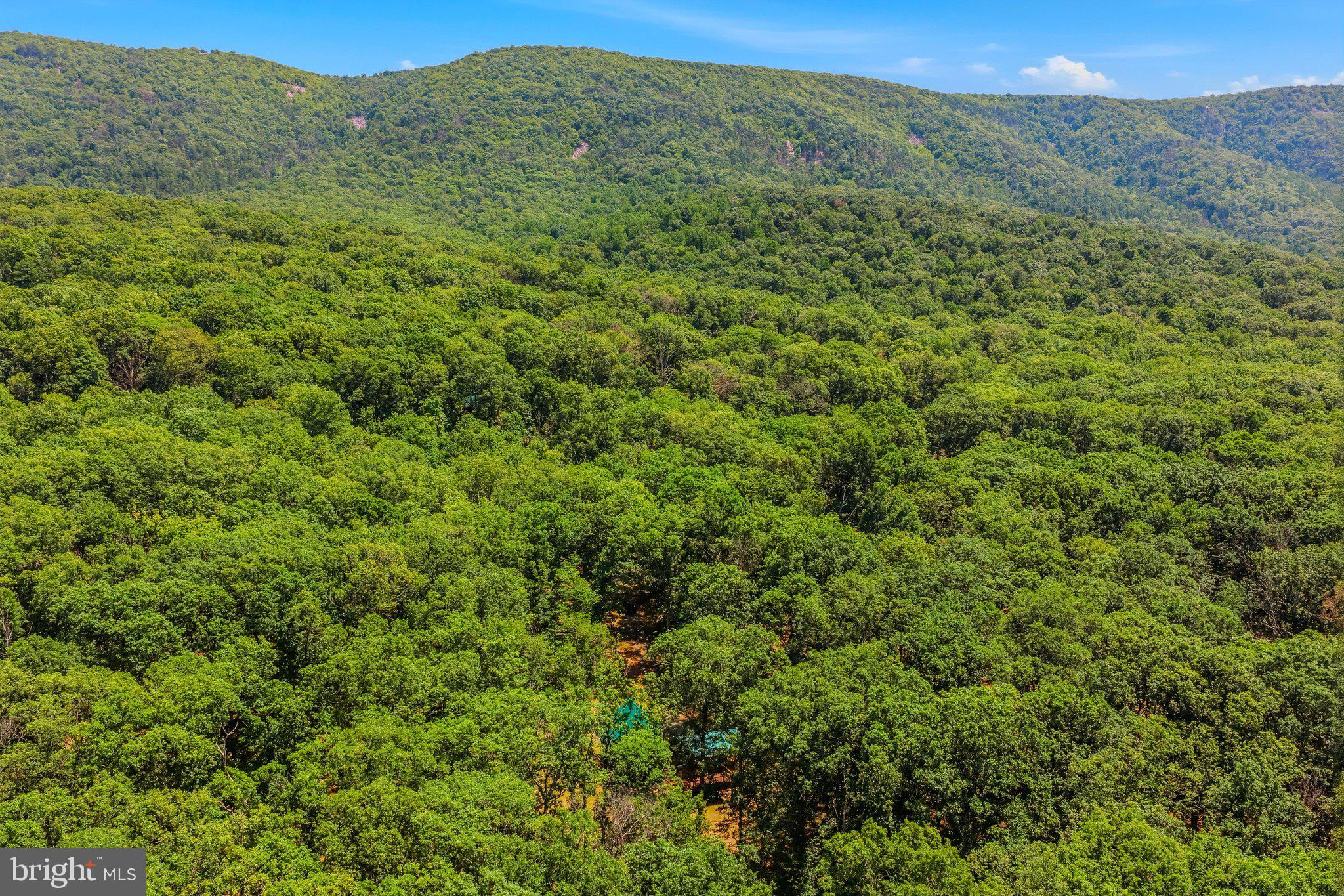 250 Flat Ridge Road Great Cacapon, WV 25422 - Photo 51 of 60 Aerial View