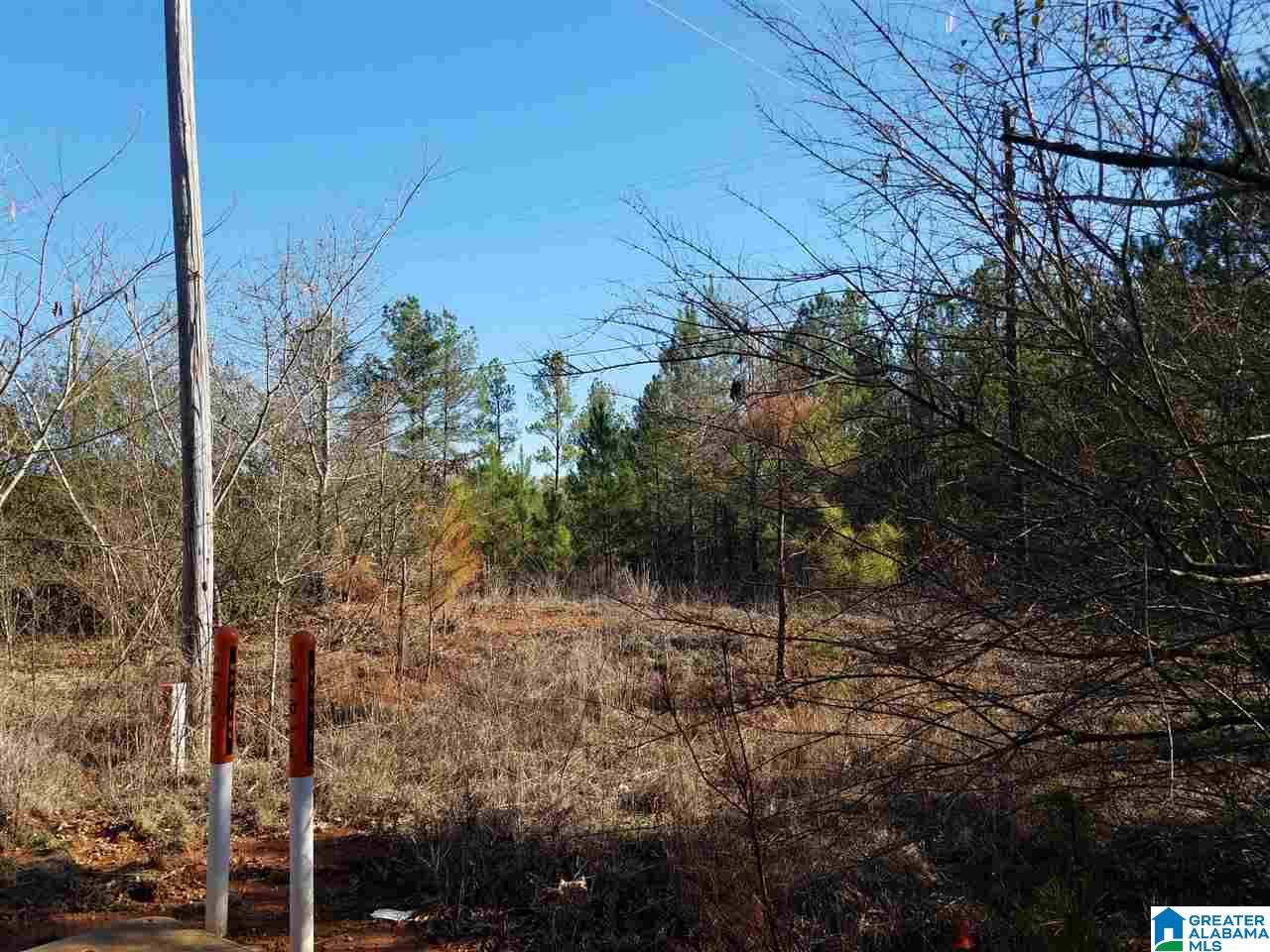 0 Cove Access Road, Unit 7 ACRES Talladega, AL 35160 - Photo 17 of 19