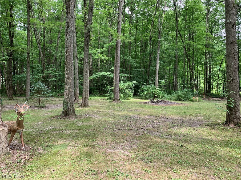 4750 Durst Clagg Road Cortland, OH 44410 - Photo 32 of 32 Gallery Image 32