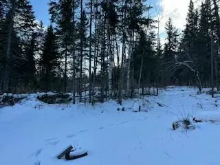 $35,000 | 1322 Oxbow Road, Oxbow, ME 04764