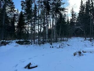 1322 Oxbow Road Oxbow, ME 04764 - Photo 12 of 15 tempImageWHblbR