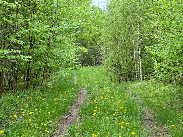 0 Wotton Road Monticello, ME 04760 - Photo 10 of 39 IMG_4433