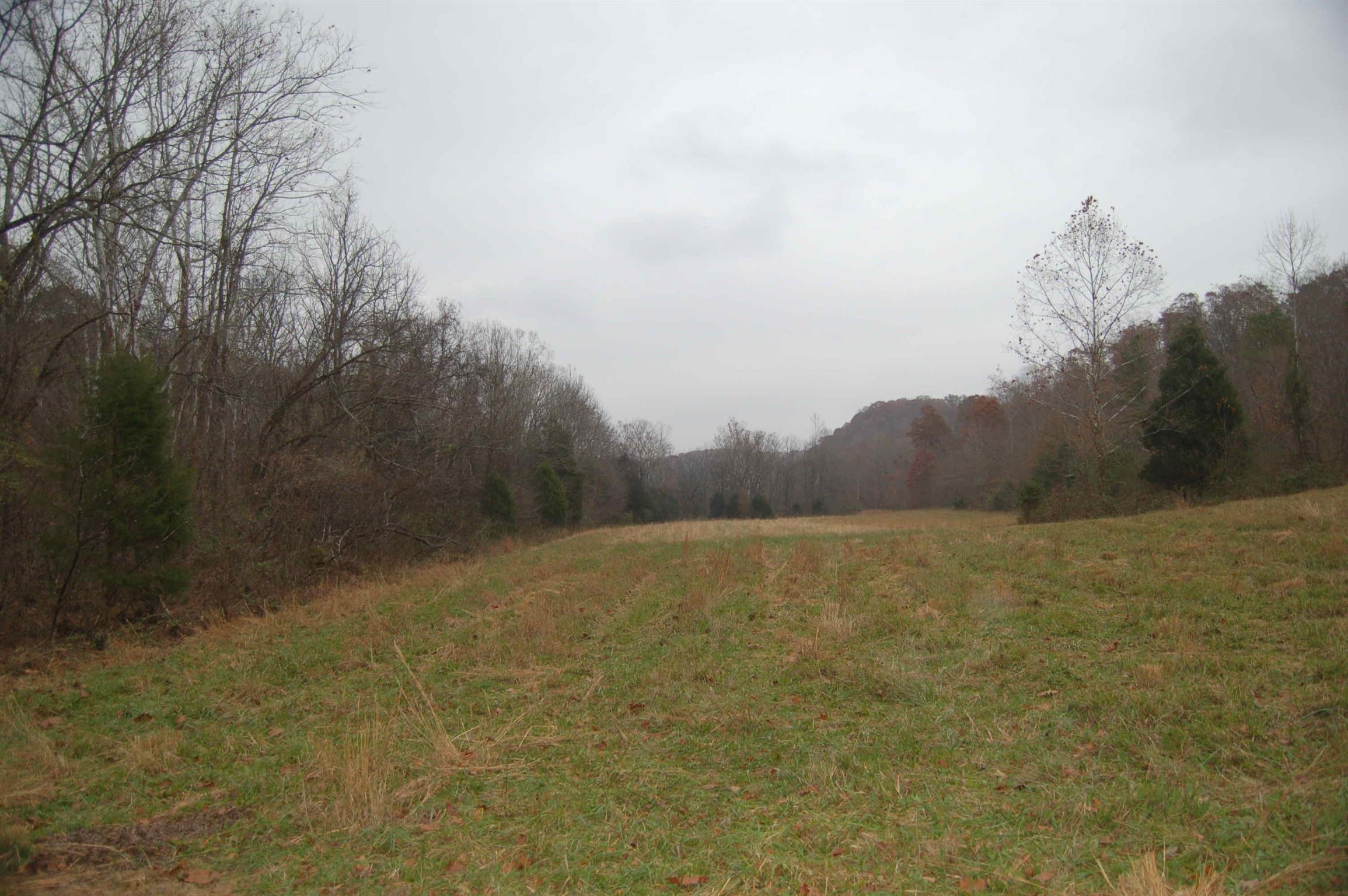 5322 Smiley Hollow Road Greenbrier, TN 37073 - Photo 1 of 6 Gallery Image 1