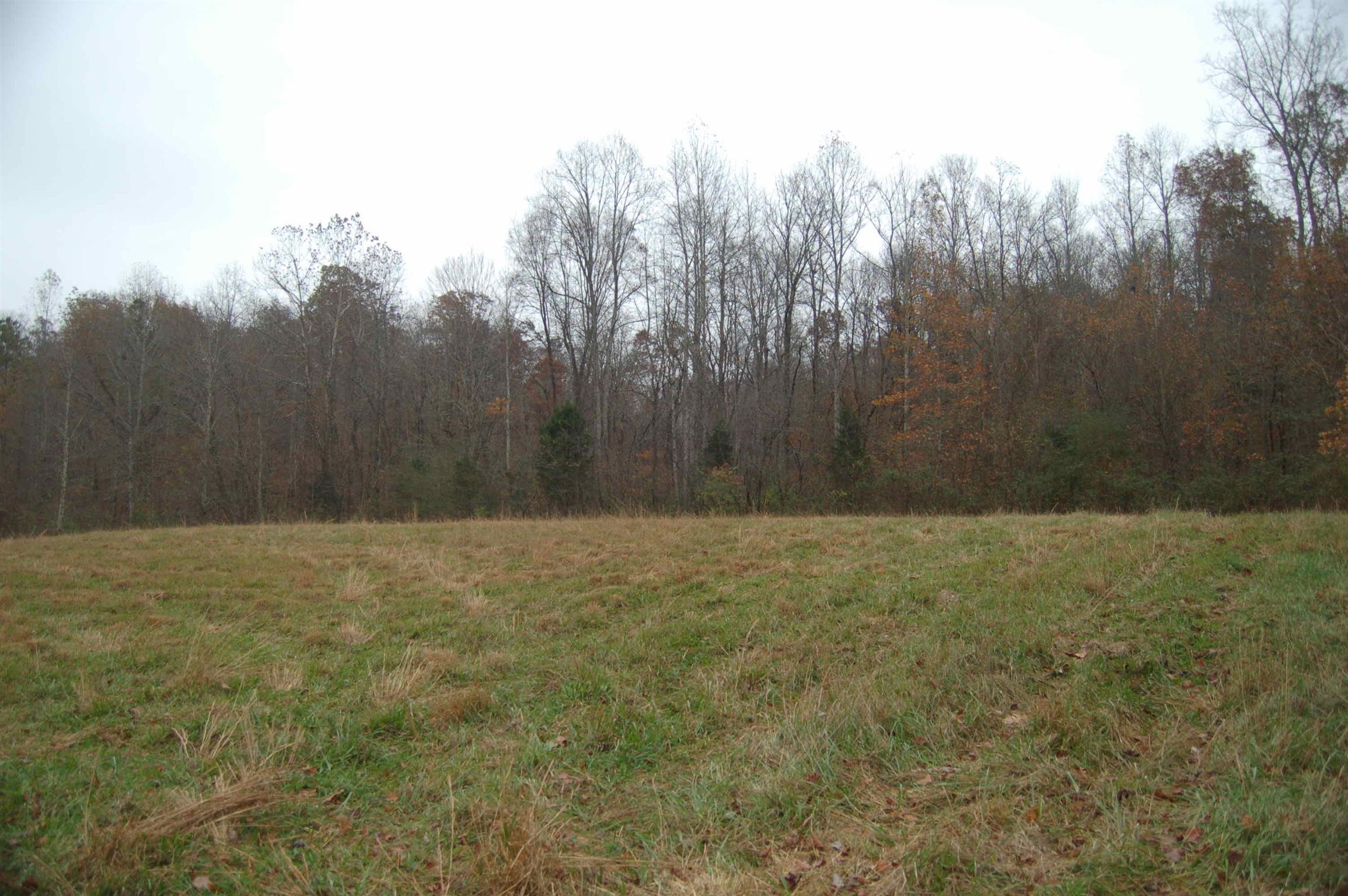 5322 Smiley Hollow Road Greenbrier, TN 37073 - Photo 3 of 6 Gallery Image 3