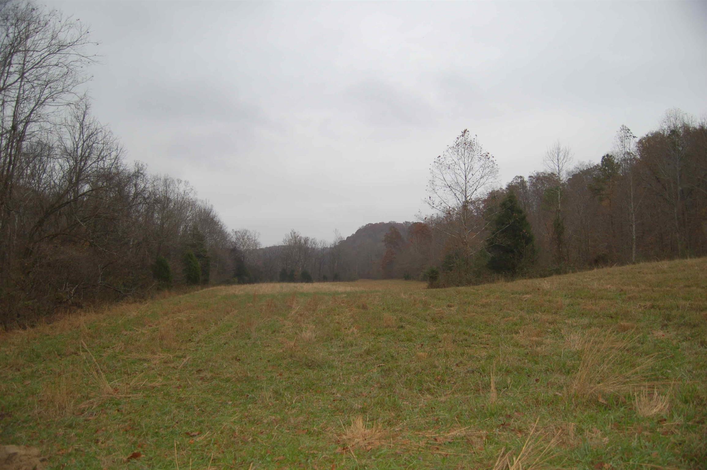 5322 Smiley Hollow Road Greenbrier, TN 37073 - Photo 4 of 6 Gallery Image 4