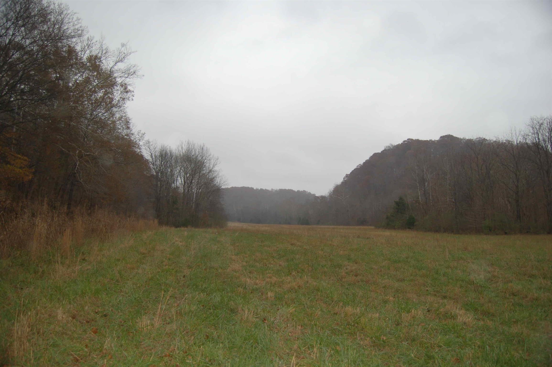 5322 Smiley Hollow Road Greenbrier, TN 37073 - Photo 5 of 6 Gallery Image 5