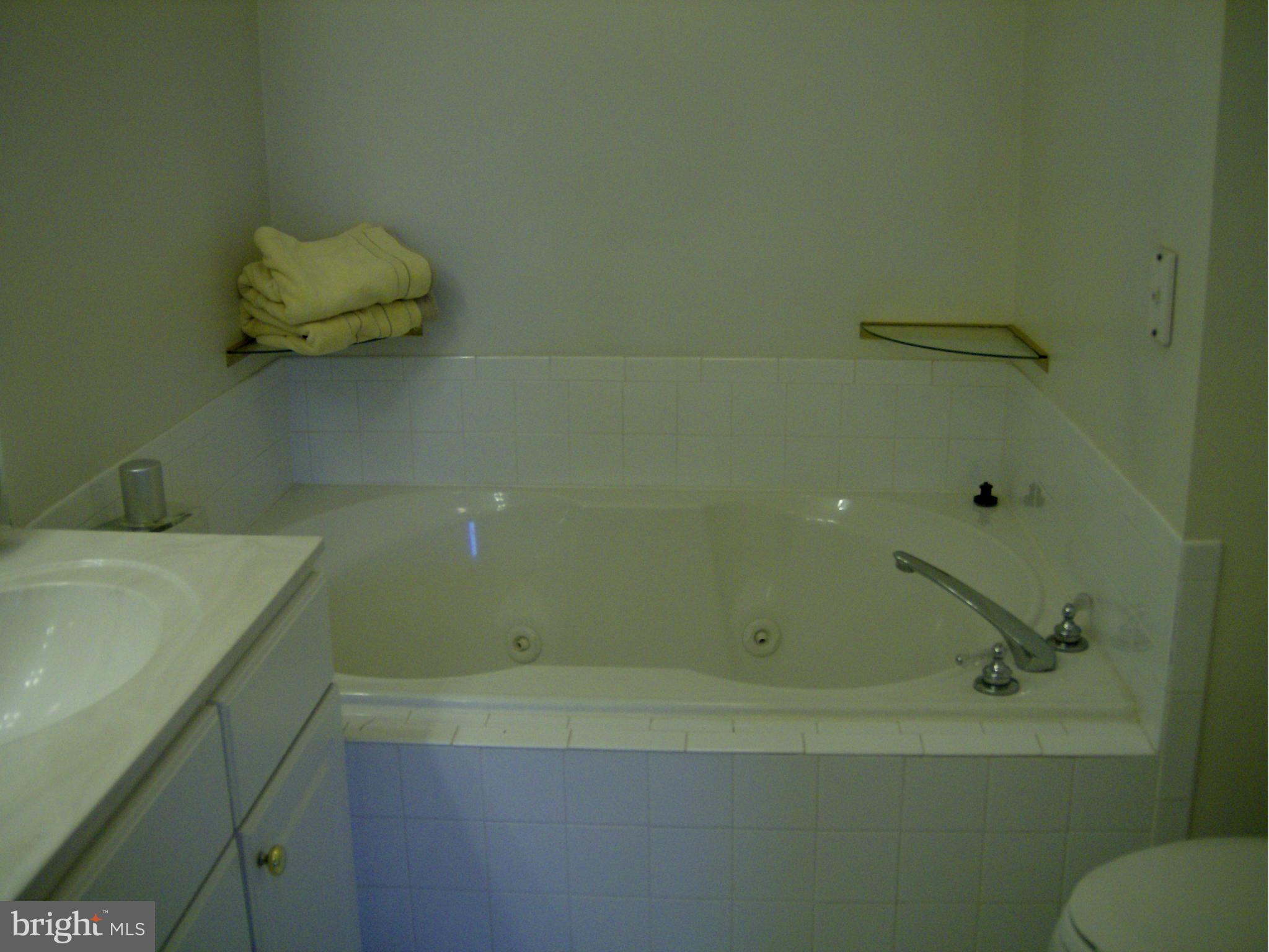 4230 Maple Path Circle, Unit 19 Nottingham, MD 21236 - Photo 7 of 19 a bathroom with a sink and bathtub