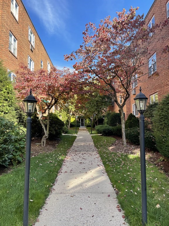 67 Colborne Road, Unit 4 Boston, MA 02135 - Photo 1 of 6 Gallery Image 1