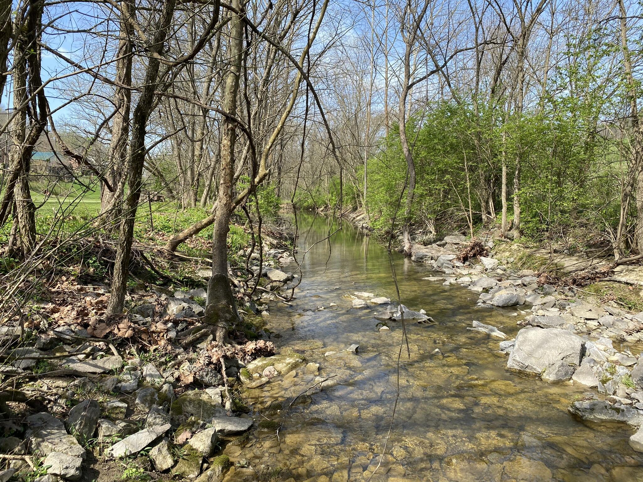 12263 Ryle Road Union, KY 41091 - Photo 47 of 50 Gallery Image 47