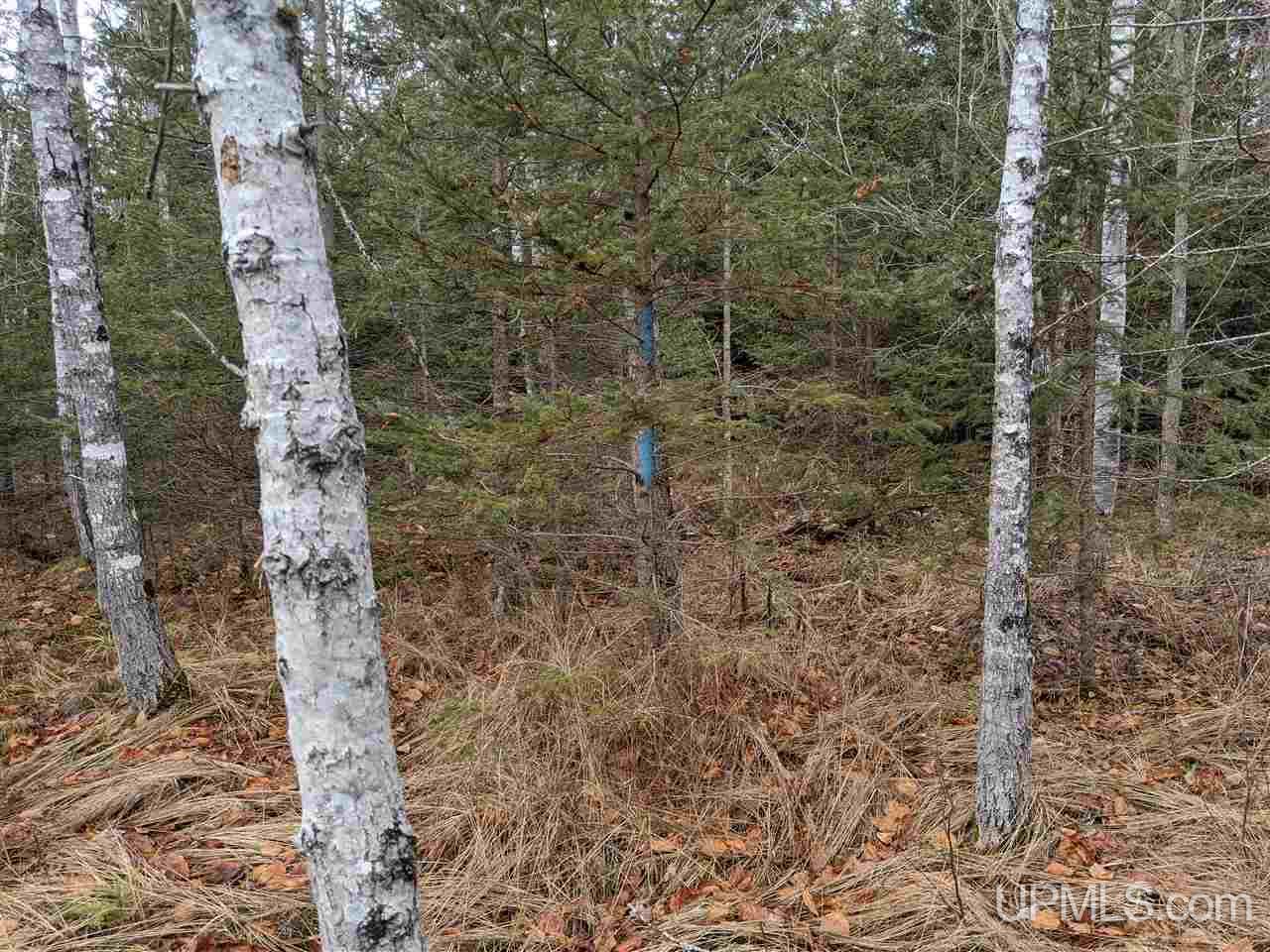 Tbd Tbd Unnamed Road Cornell, MI 49818 - Photo 7 of 10