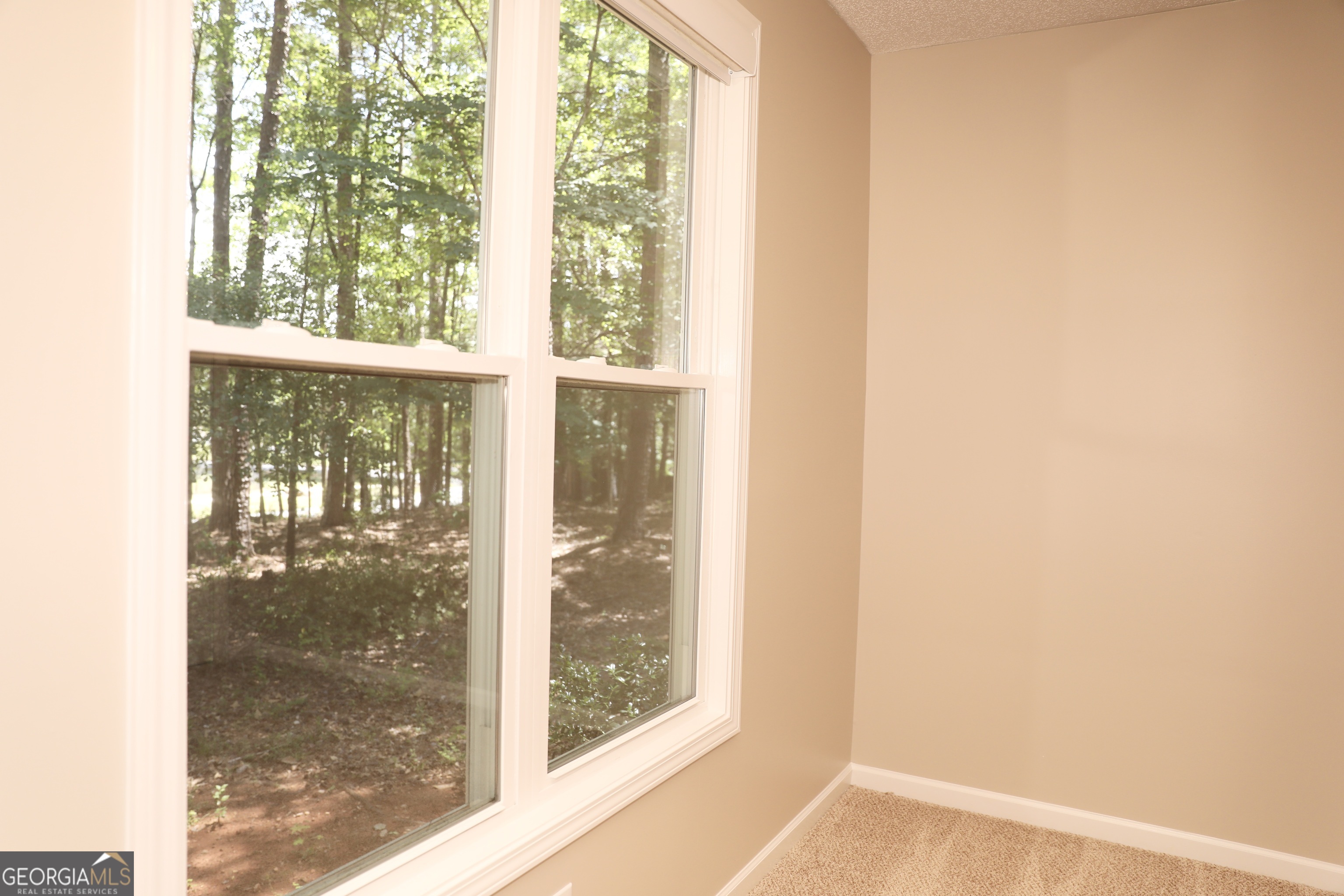 139 Pete Road Sharpsburg, GA 30277 - Photo 27 of 37
