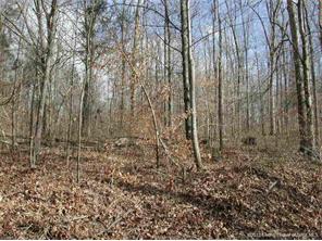 0 South Devils Hollow Road Milltown, IN 47145 - Photo 3 of 6 Gallery Image 3