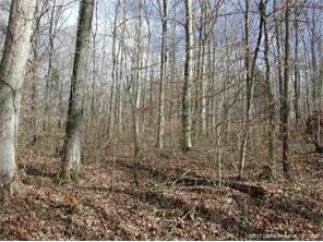 0 South Devils Hollow Road Milltown, IN 47145 - Photo 4 of 6 Gallery Image 4