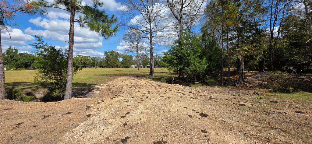 5.8-acres Nobles Road Cottonwood, AL 36320 - Photo 18 of 29