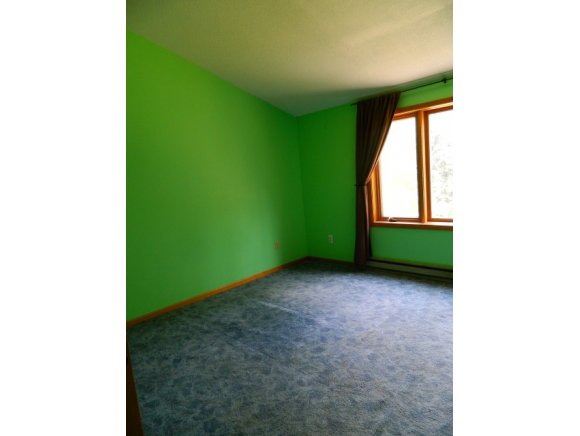 469 Echo Road Vestal, NY 13850 - Photo 19 of 21 Gallery Image 19