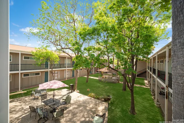 a view of a backyard