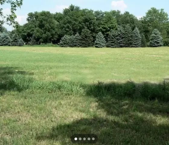 a view of a field with an ocean